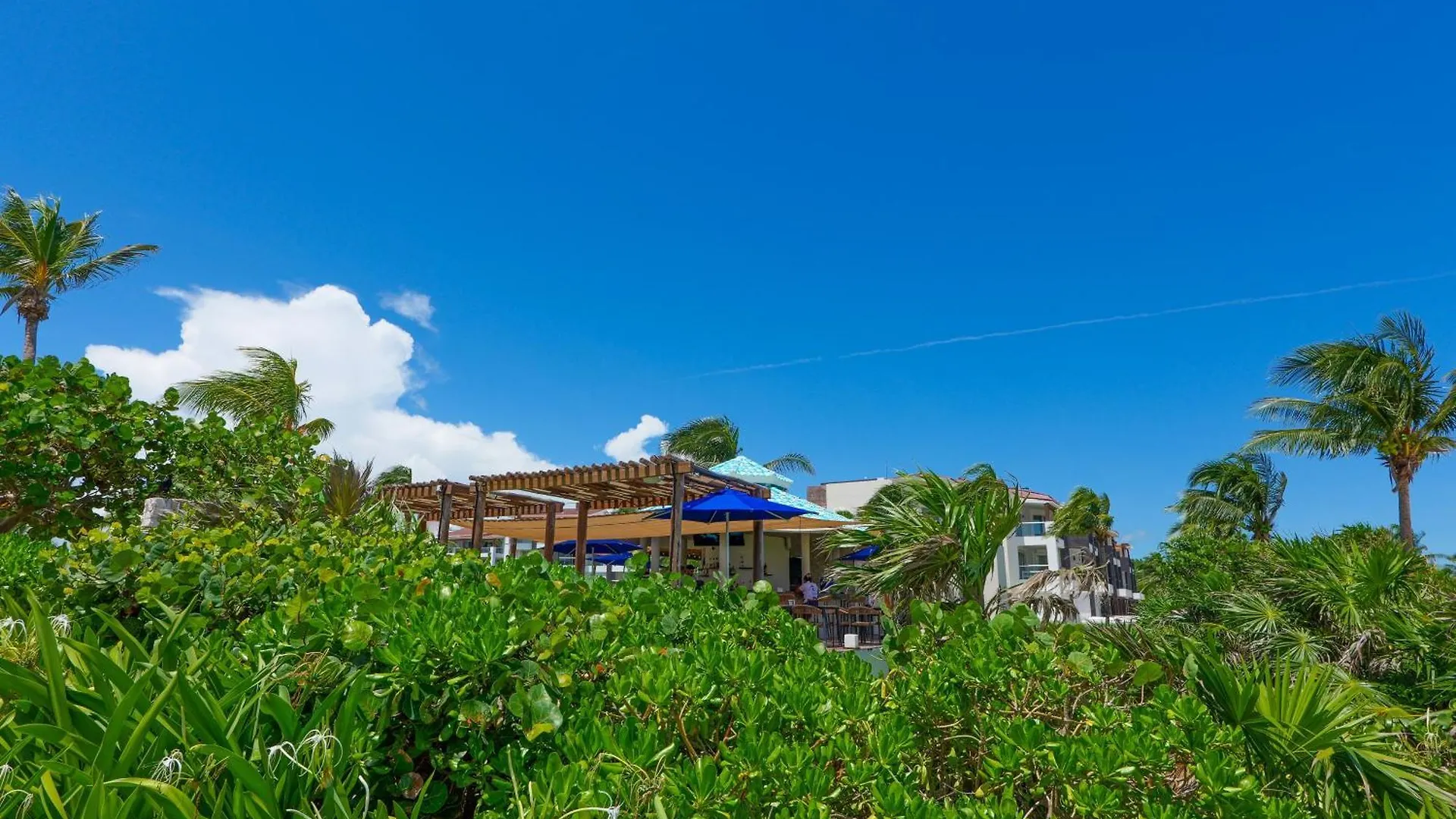 Seaside Serenity Retreat At Mareazul Norte- Studio بلايا ديل كارمن شقة