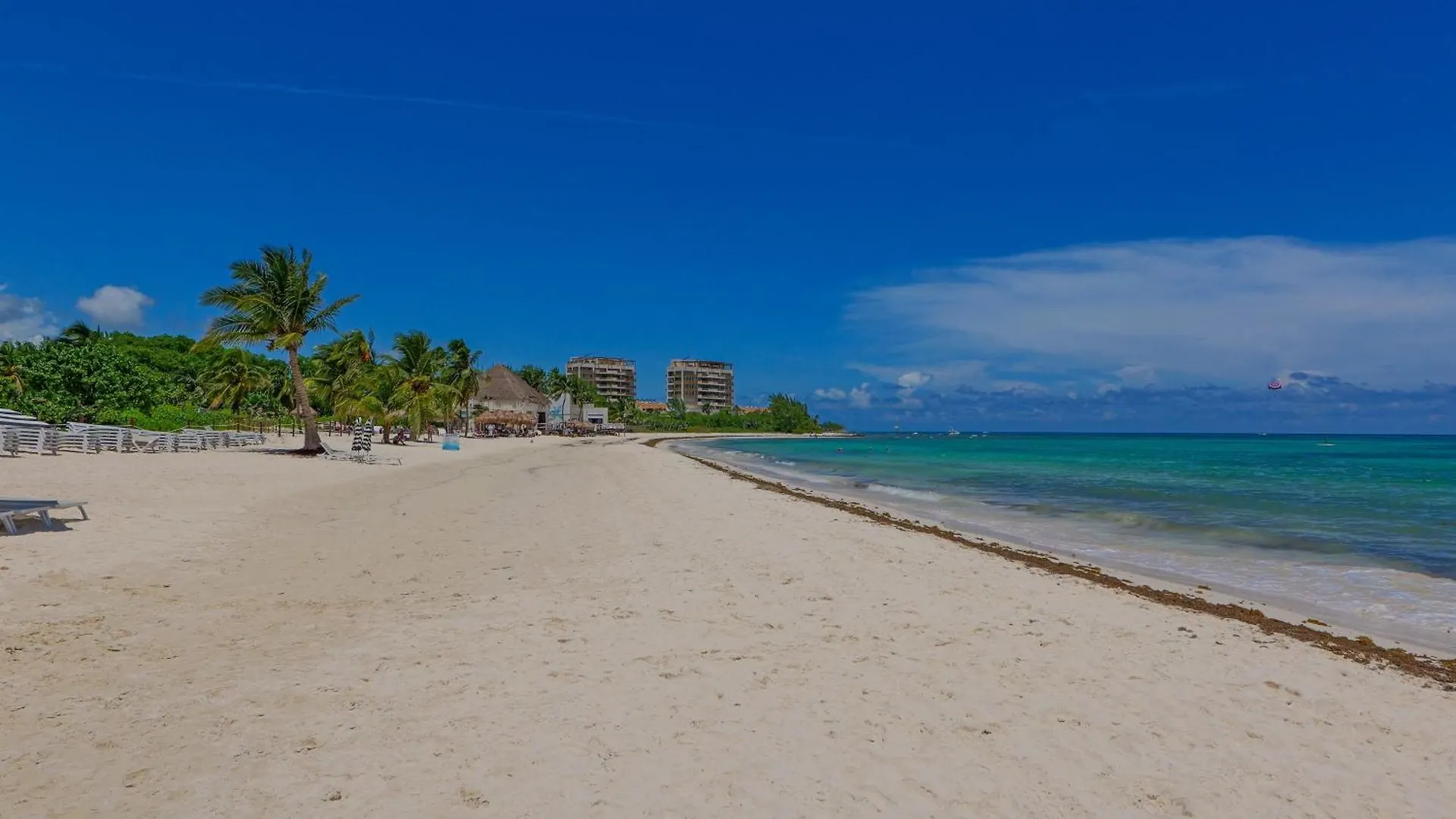 Seaside Serenity Retreat At Mareazul Norte- Studio بلايا ديل كارمن